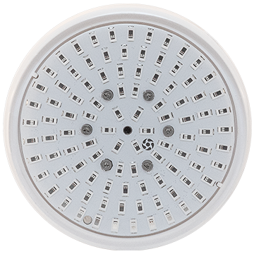 Pool Glow Mini 100 LED panel top view multiple LED diodes wide beam spread underwater lighting